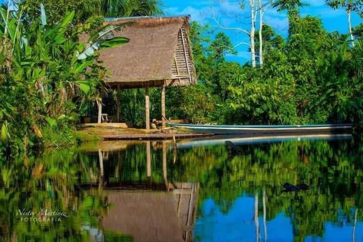 Misahualli Laguna Paikawe B&B 外观 照片