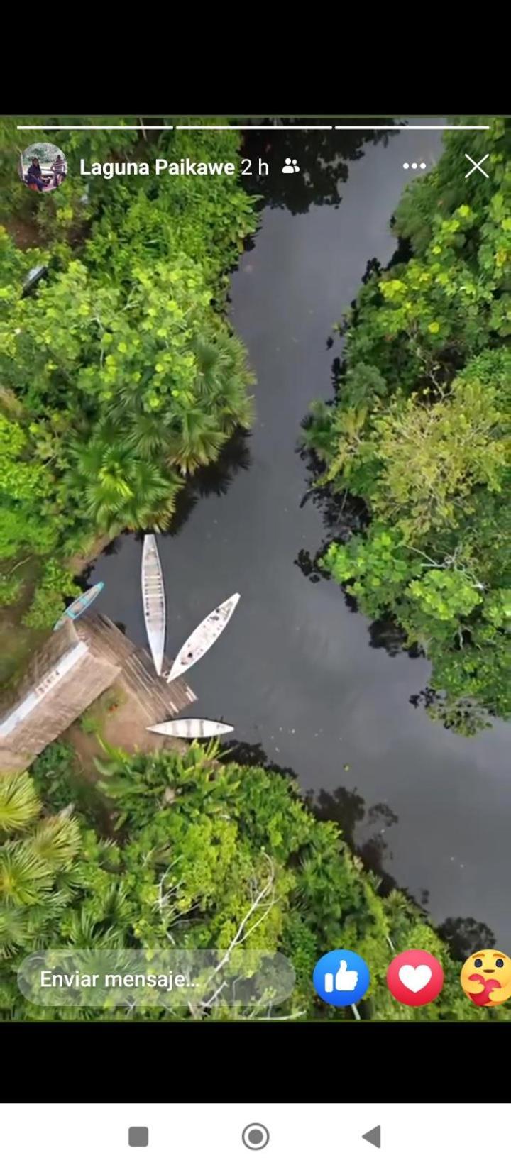 Misahualli Laguna Paikawe B&B 外观 照片