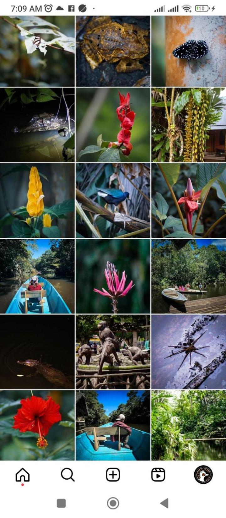 Misahualli Laguna Paikawe B&B 外观 照片