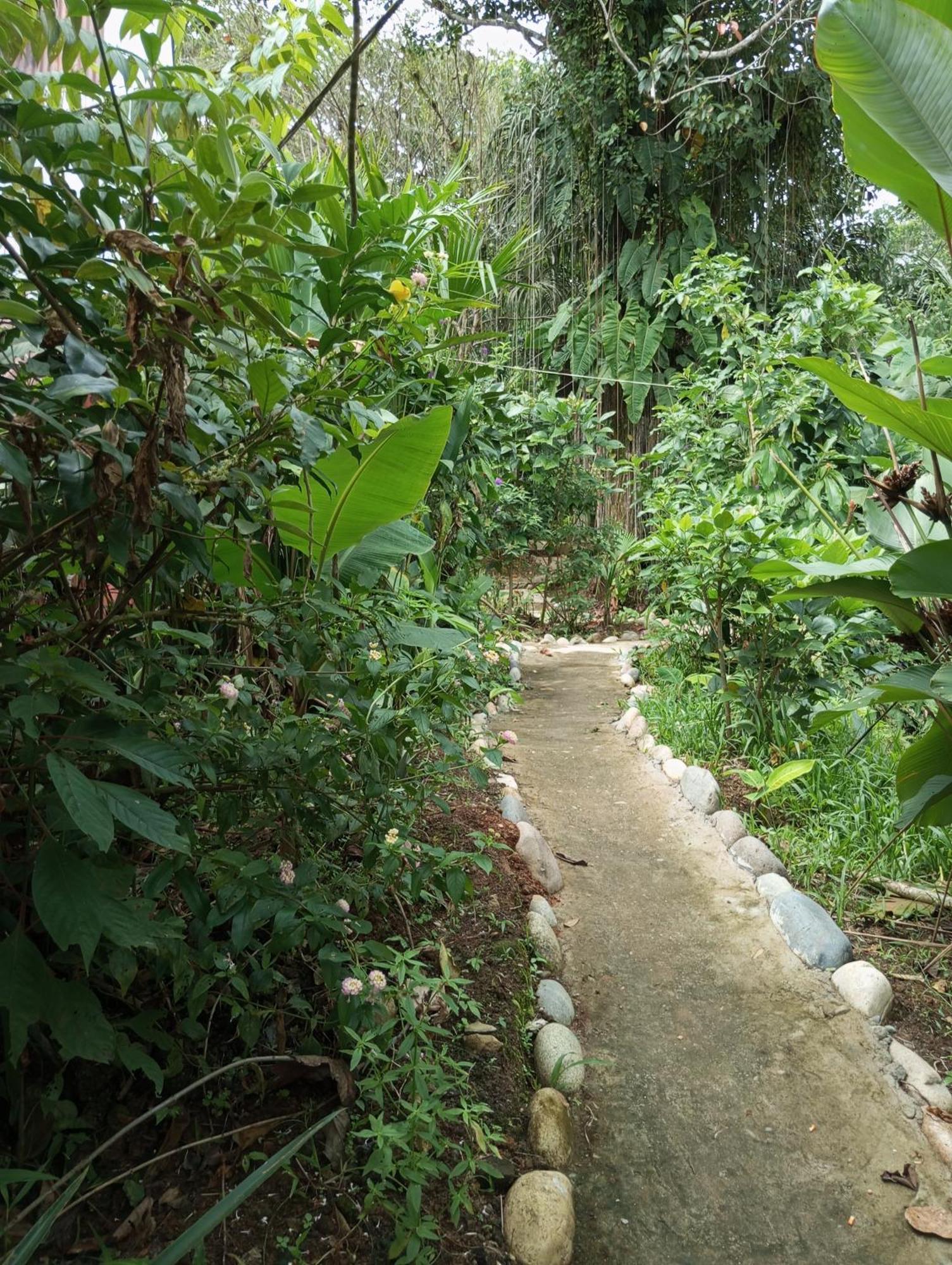Misahualli Laguna Paikawe B&B 外观 照片