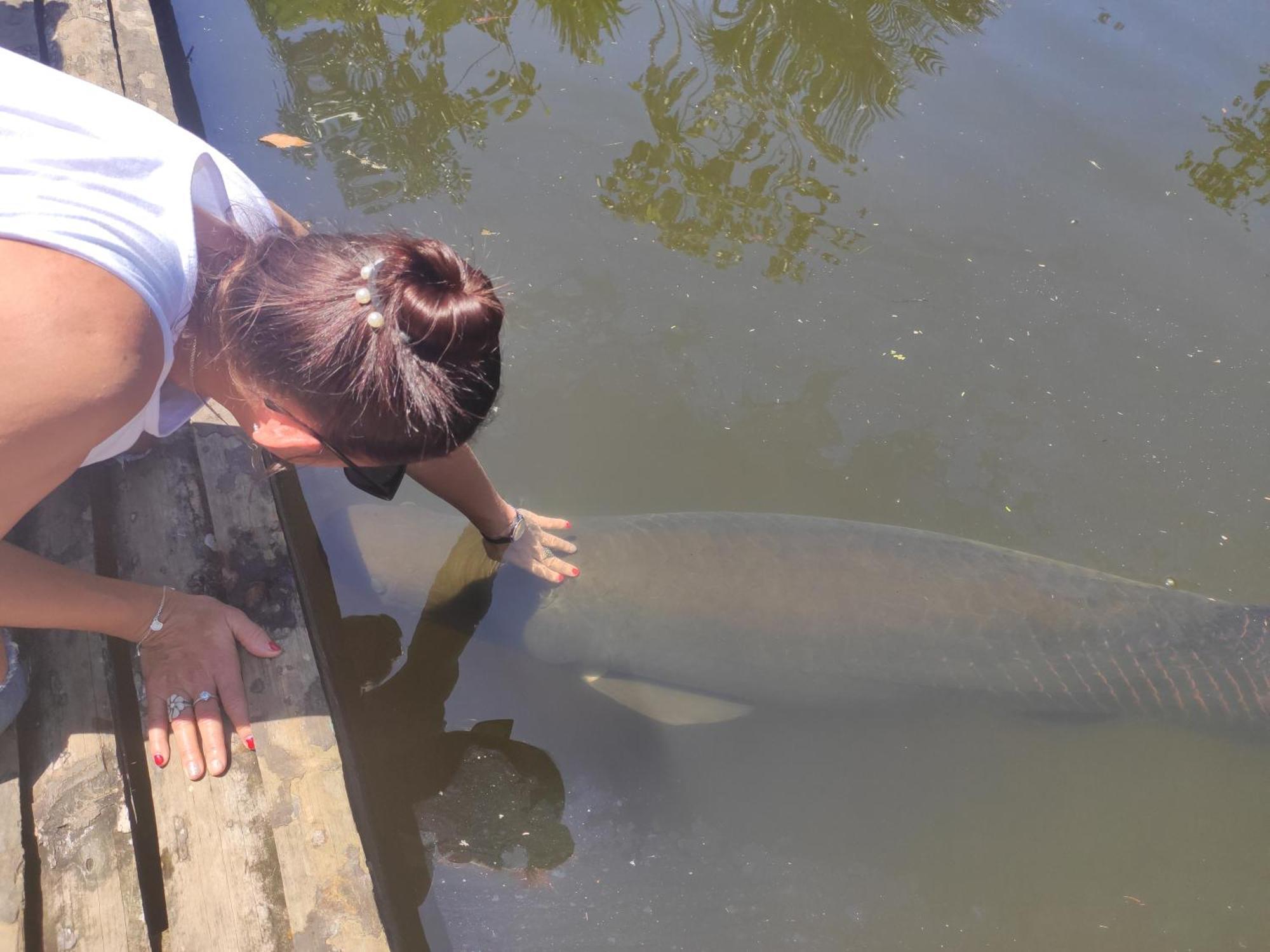 Misahualli Laguna Paikawe B&B 客房 照片