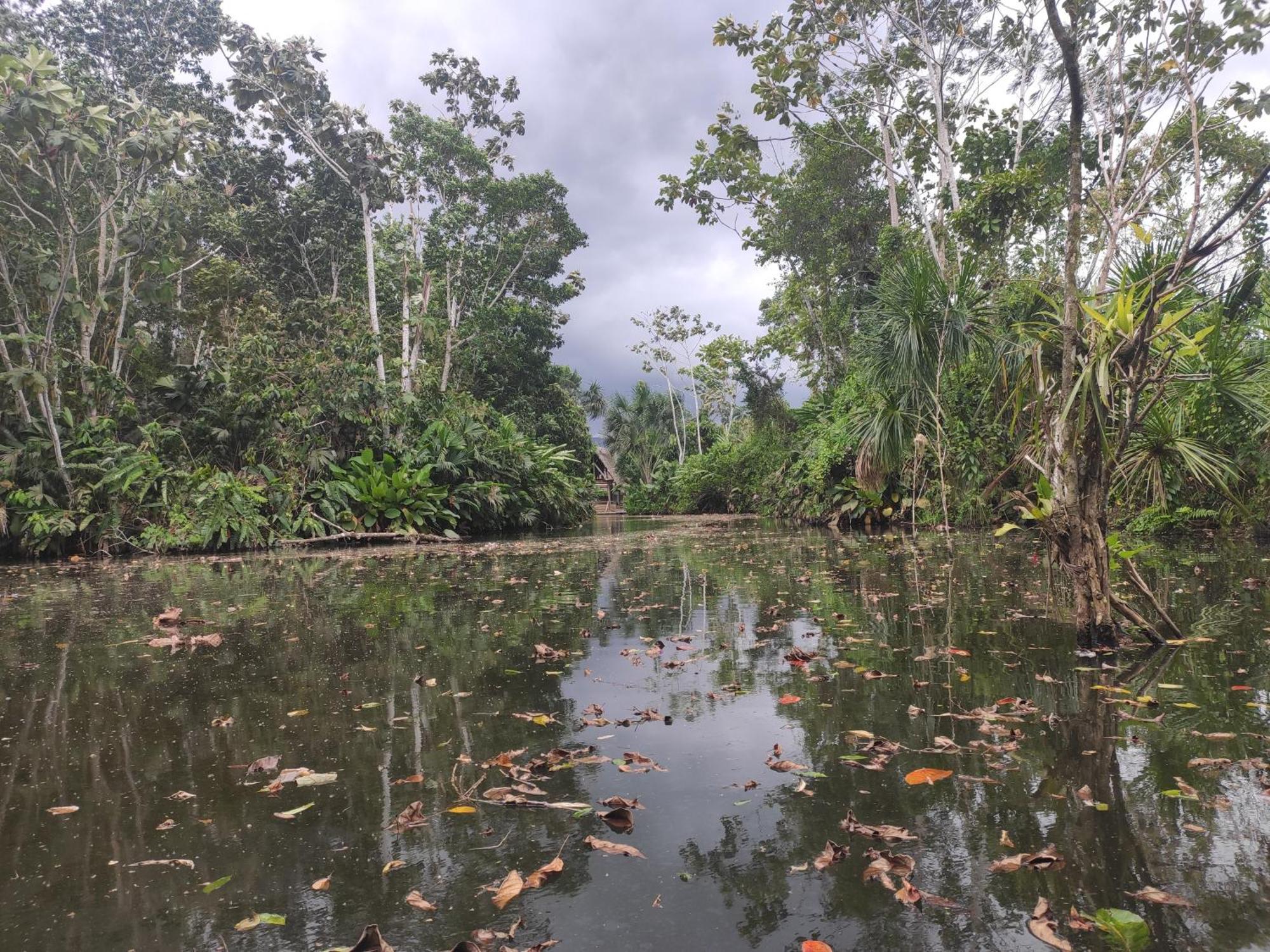 Misahualli Laguna Paikawe B&B 客房 照片