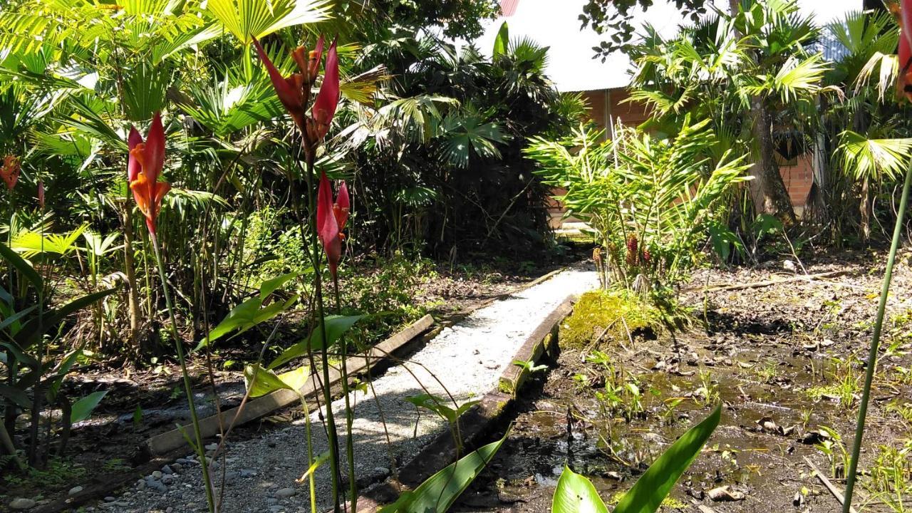 Misahualli Laguna Paikawe B&B 外观 照片