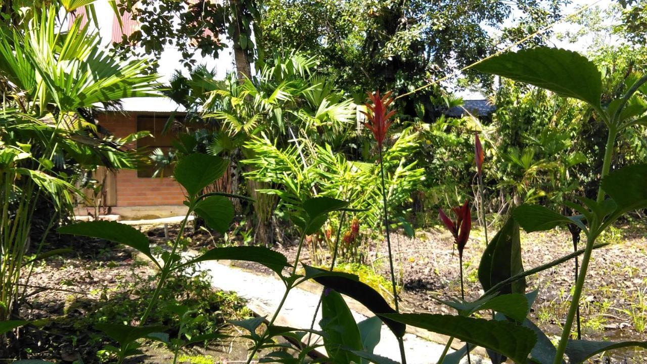 Misahualli Laguna Paikawe B&B 外观 照片
