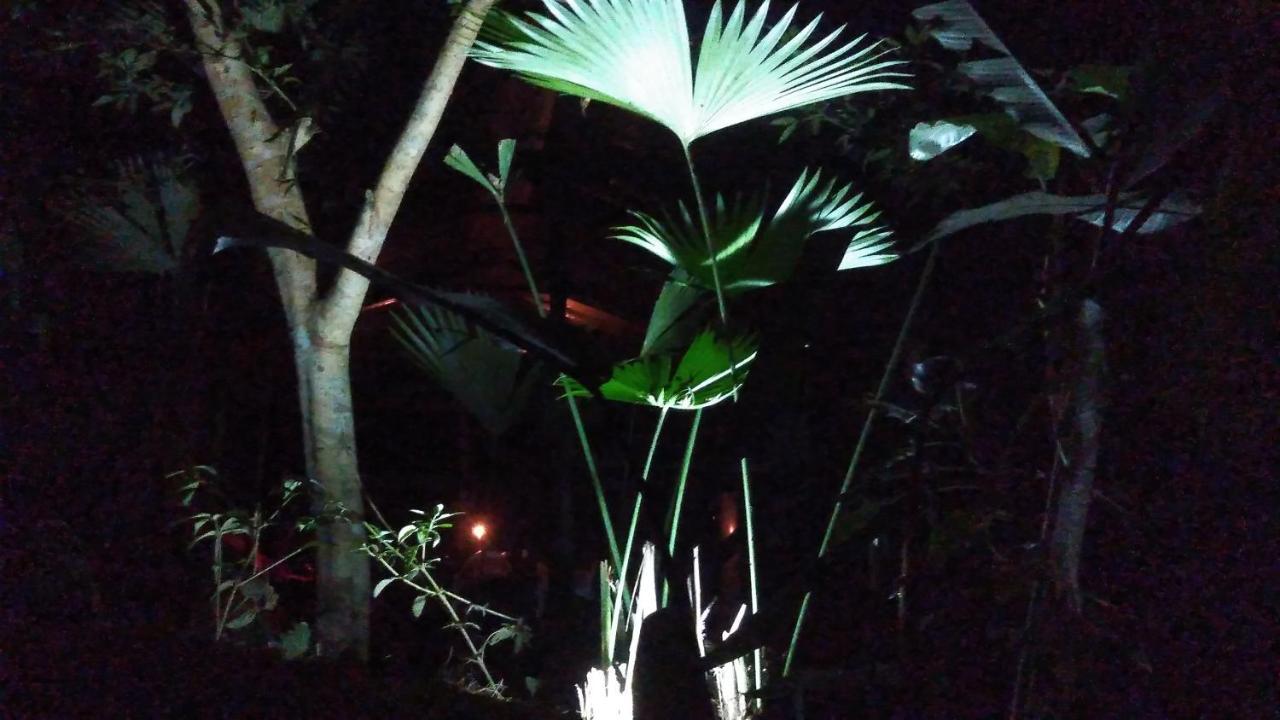 Misahualli Laguna Paikawe B&B 外观 照片